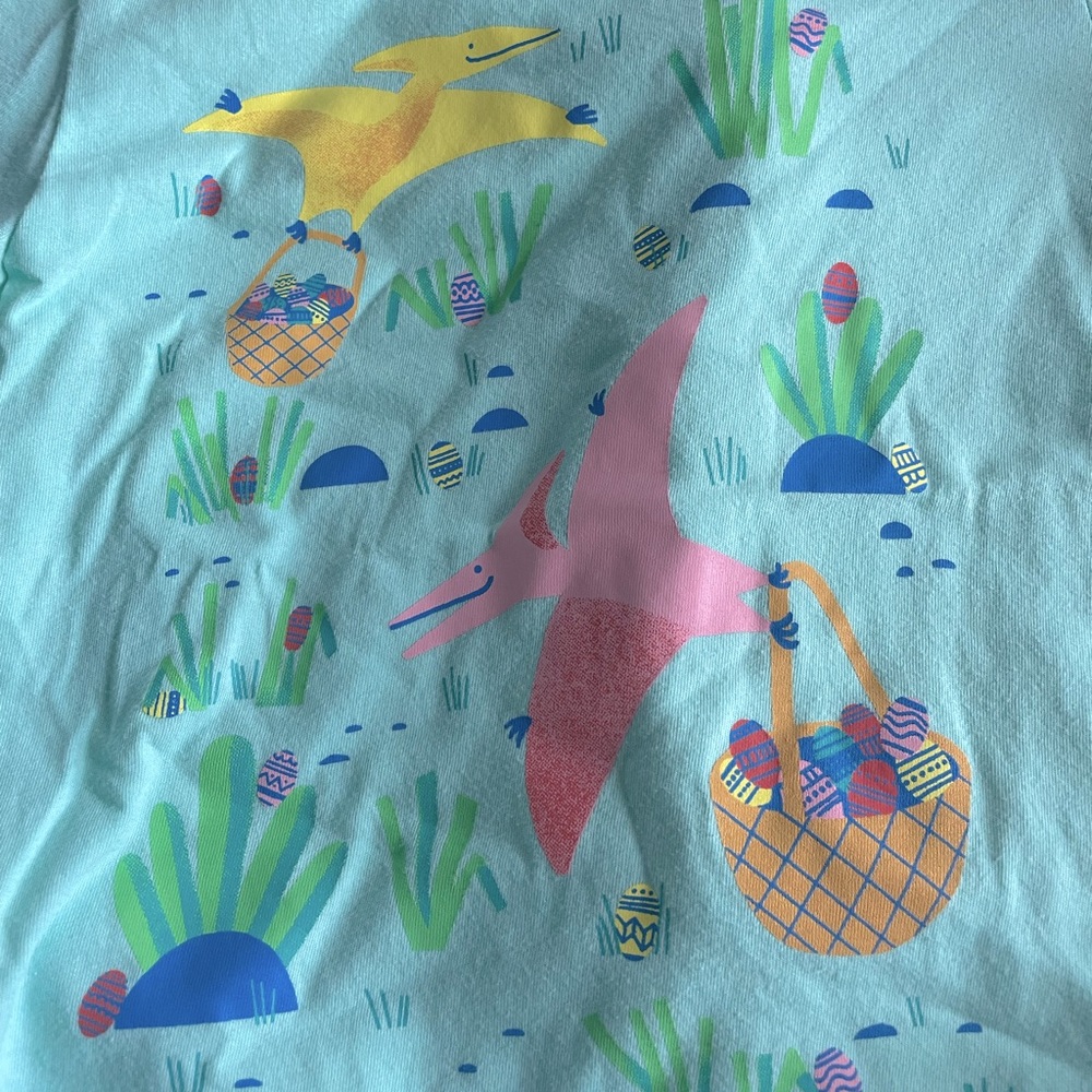⭐️7 for $25⭐️ Cat and Jack Easter Dinosaur Shirt